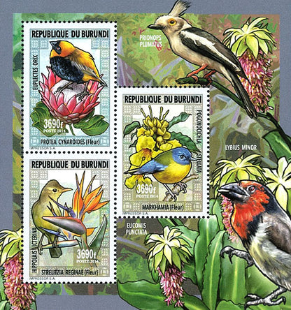 Fauna & Flora : Flowers and Birds