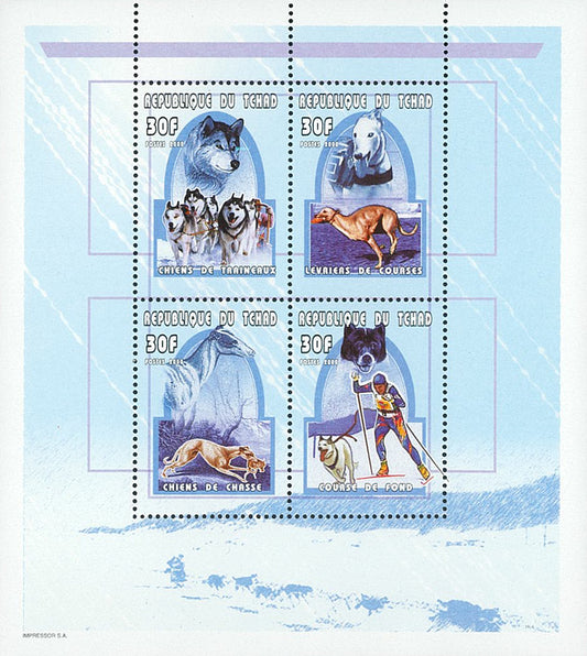 Sport - Sled dogs