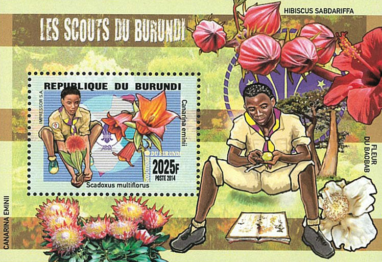 Scouting : Scouts of Burundi / Fauna / Flora / Mushrooms (I)