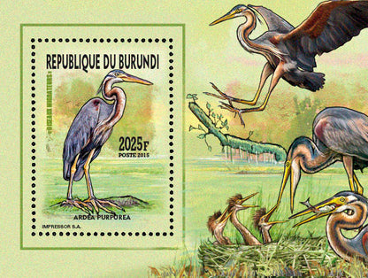 Fauna & Flora : Birds 2015 (III) Echassiers & Cormorans