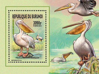 Fauna & Flora : Birds 2015 (IV) Echassiers