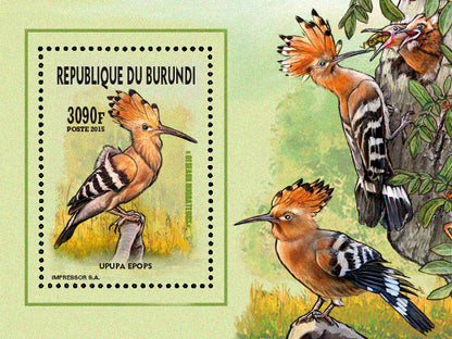 Fauna & Flora : Birds 2015 (IV) Echassiers
