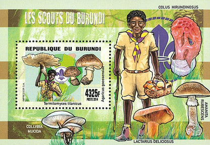 Scouting : Scouts of Burundi / Fauna / Flora / Mushrooms (I)