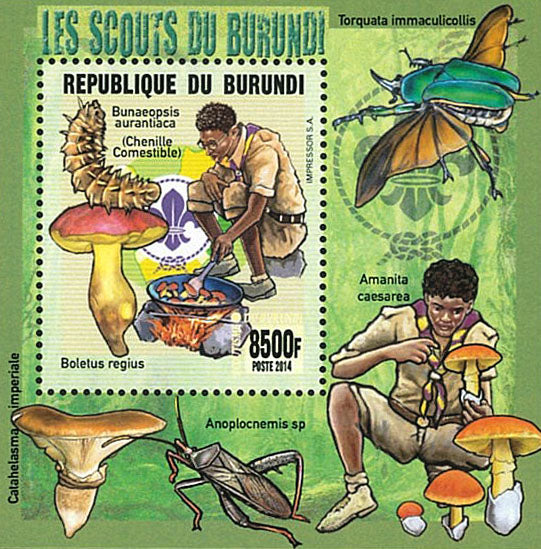 Scouting : Scouts of Burundi / Fauna / Flora / Mushrooms (I)