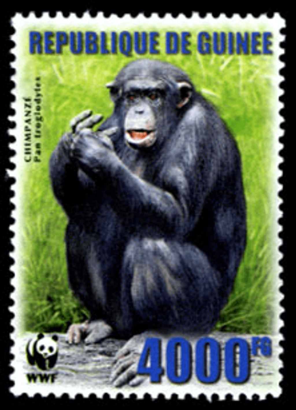 Singes (Chimpanzé WWF)