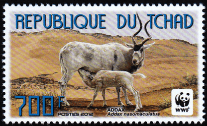 World Wild Nature Antelope 2012