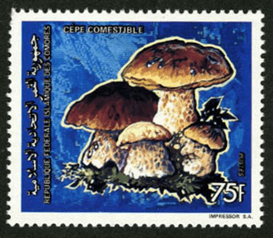 Mushrooms (5607)