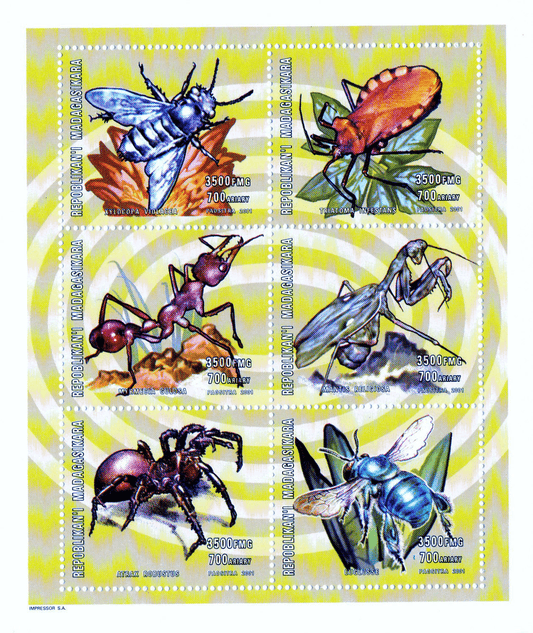 Insects and spiders  2001