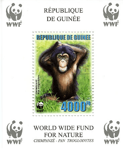 Singes (Chimpanzé WWF)