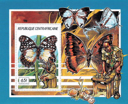 Pathfinder movement: butterflies  1990