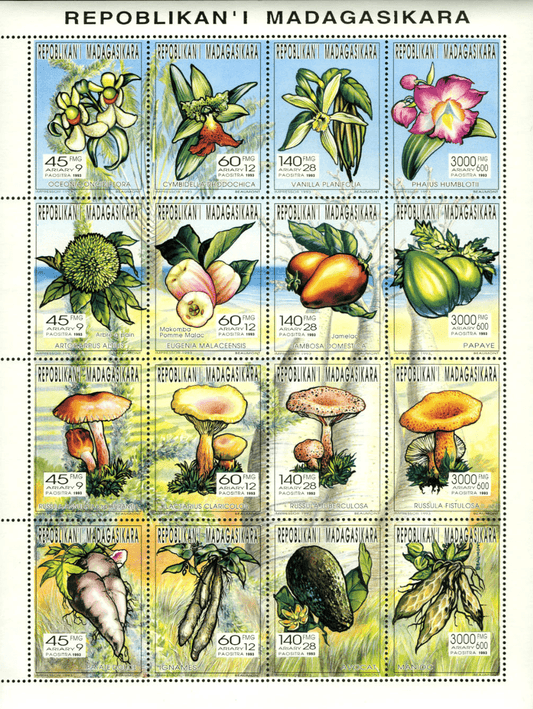 Useful plants 1993